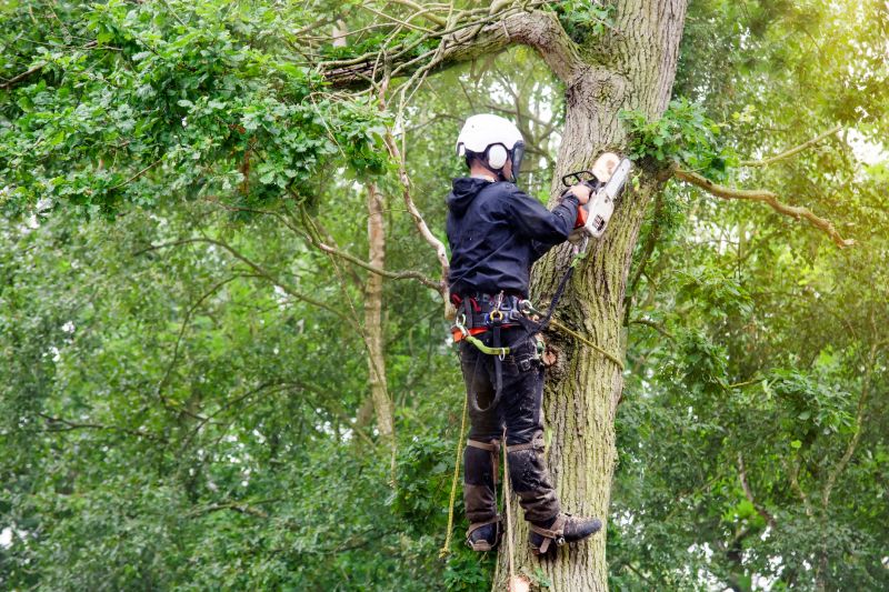 Arborist at Work