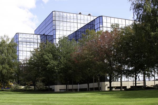 Commercial Tree Trimming in Gainesville